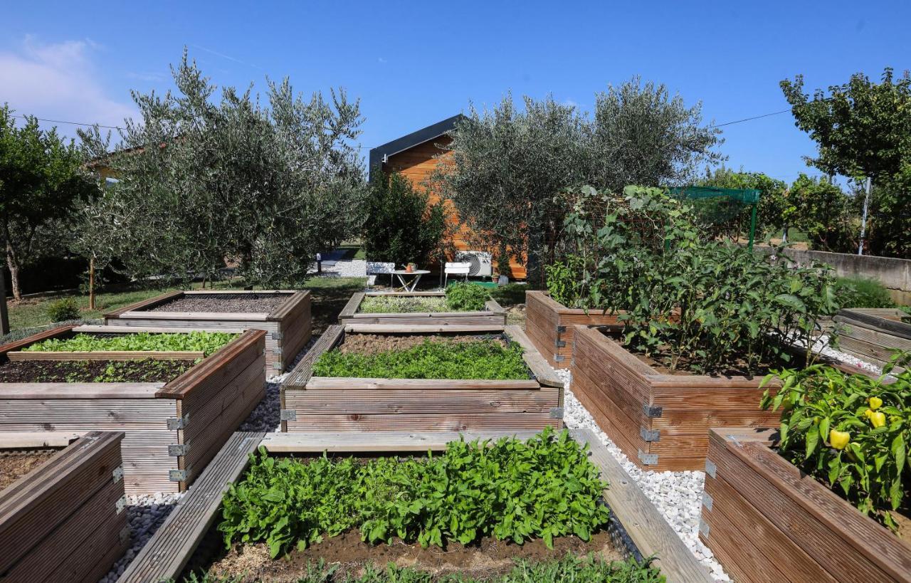 Healthy House Glamping Hotel Koper Exterior photo